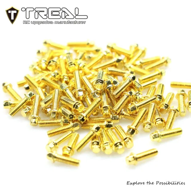 Treal 1.9 beadlock wheel Steel Scale Hex Head Screws 100pcs-Pack